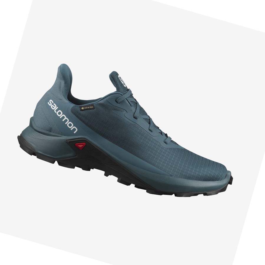 Salomon ALPHACROSS 3 GORE-TEX Erkek Patika Koşu Ayakkabısı Mavi | TR 3538QMA